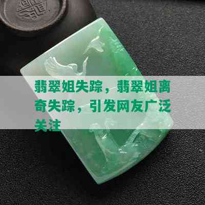 翡翠姐失踪，翡翠姐离奇失踪，引发网友广泛关注