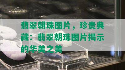 翡翠朝珠图片，珍贵典藏：翡翠朝珠图片揭示的华美之美