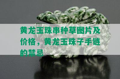 黄龙玉珠串种草图片及价格，黄龙玉珠子手链的禁忌