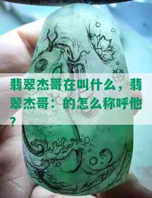 翡翠杰哥在叫什么，翡翠杰哥：的怎么称呼他？