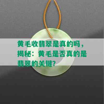 黄毛收翡翠是真的吗，揭秘：黄毛是否真的是翡翠的关键？