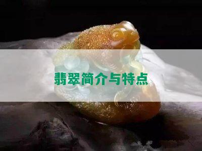 翡翠简介与特点