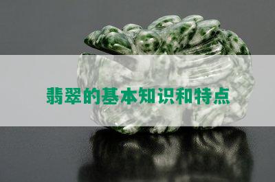 翡翠的基本知识和特点