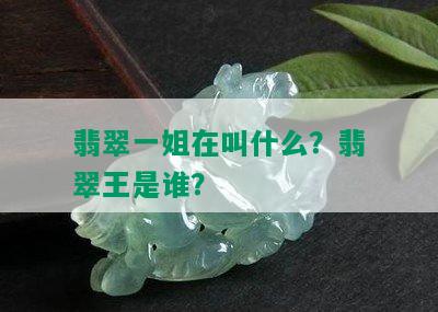 翡翠一姐在叫什么？翡翠王是谁？