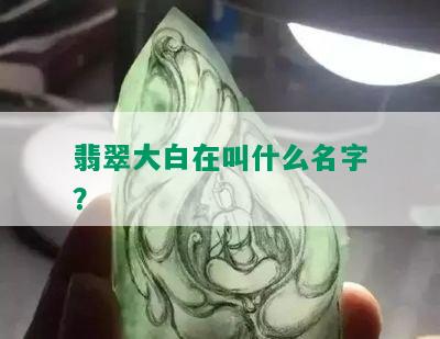 翡翠大白在叫什么名字？