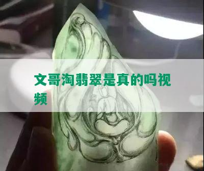 文哥淘翡翠是真的吗视频