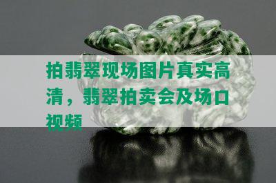 拍翡翠现场图片真实高清，翡翠拍卖会及场口视频