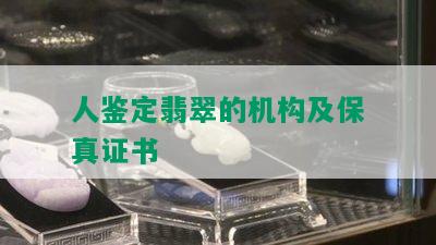 人鉴定翡翠的机构及保真证书