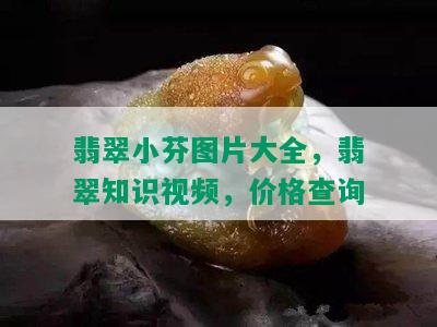 翡翠小芬图片大全，翡翠知识视频，价格查询