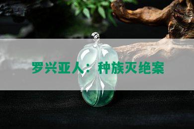 罗兴亚人：种族灭绝案