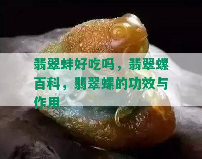 翡翠蚌好吃吗，翡翠螺百科，翡翠螺的功效与作用