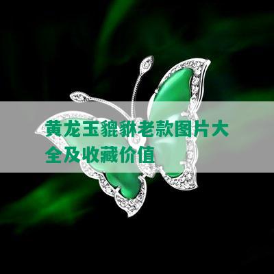 黄龙玉貔貅老款图片大全及收藏价值