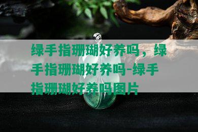 绿手指珊瑚好养吗，绿手指珊瑚好养吗-绿手指珊瑚好养吗图片