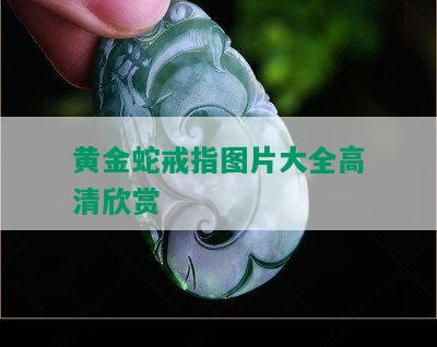 黄金蛇戒指图片大全高清欣赏