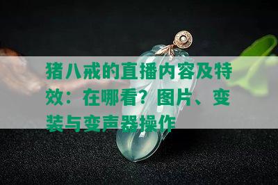 猪八戒的直播内容及特效：在哪看？图片、变装与变声器操作