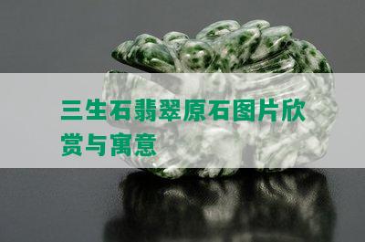 三生石翡翠原石图片欣赏与寓意