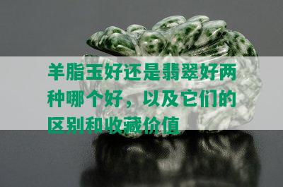 羊脂玉好还是翡翠好两种哪个好，以及它们的区别和收藏价值