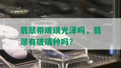 翡翠带玻璃光泽吗，翡翠有玻璃种吗？