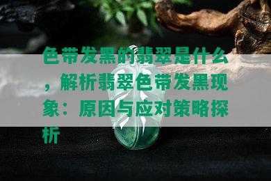 色带发黑的翡翠是什么，解析翡翠色带发黑现象：原因与应对策略探析