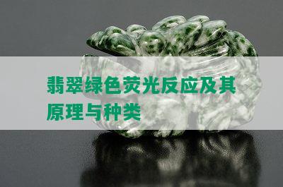 翡翠绿色荧光反应及其原理与种类