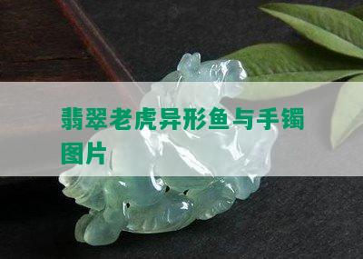 翡翠老虎异形鱼与手镯图片