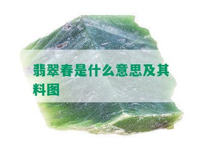 翡翠春是什么意思及其料图