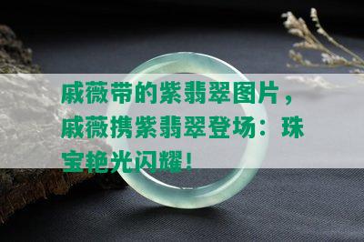 戚薇带的紫翡翠图片，戚薇携紫翡翠登场：珠宝艳光闪耀！