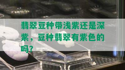 翡翠豆种带浅紫还是深紫，豆种翡翠有紫色的吗？