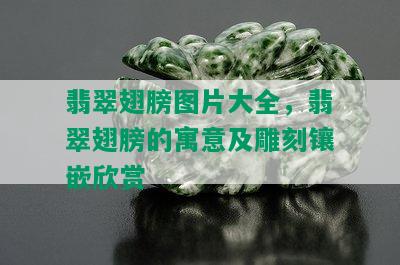 翡翠翅膀图片大全，翡翠翅膀的寓意及雕刻镶嵌欣赏