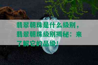 翡翠朝珠是什么级别，翡翠朝珠级别揭秘：来了解它的品级！