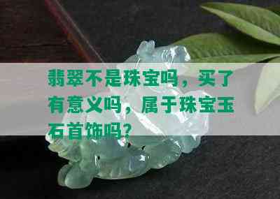 翡翠不是珠宝吗，买了有意义吗，属于珠宝玉石首饰吗？