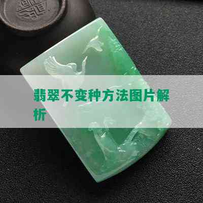 翡翠不变种方法图片解析