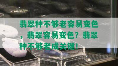 翡翠种不够老容易变色，翡翠容易变色？翡翠种不够老成关键！