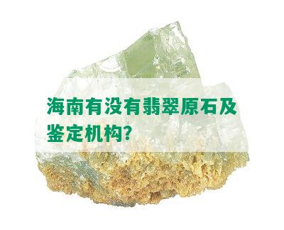 海南有没有翡翠原石及鉴定机构？