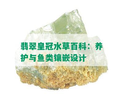 翡翠皇冠水草百科：养护与鱼类镶嵌设计