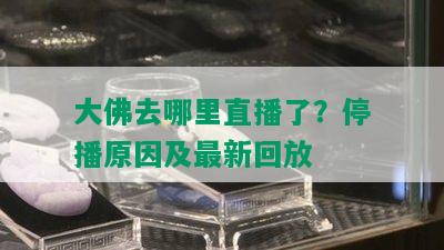 大佛去哪里直播了？停播原因及最新回放