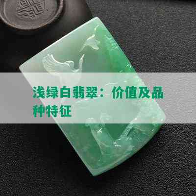 浅绿白翡翠：价值及品种特征