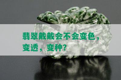 翡翠戴戴会不会变色，变透，变种？