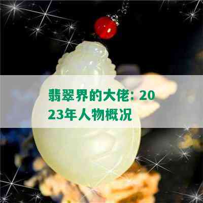 翡翠界的大佬: 2023年人物概况