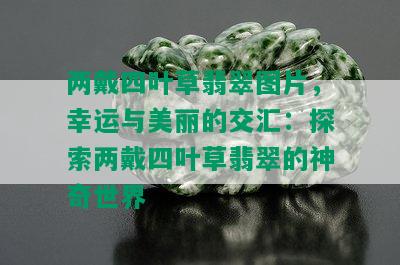 两戴四叶草翡翠图片，幸运与美丽的交汇：探索两戴四叶草翡翠的神奇世界