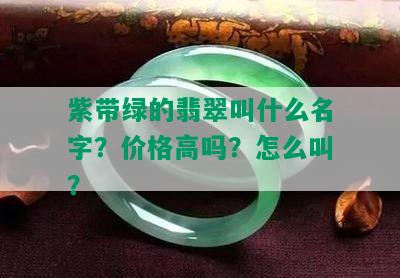 紫带绿的翡翠叫什么名字？价格高吗？怎么叫？