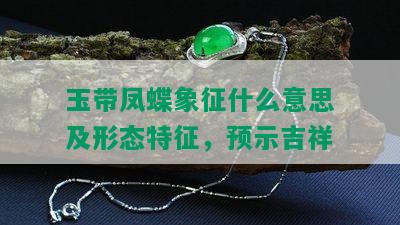 玉带凤蝶象征什么意思及形态特征，预示吉祥