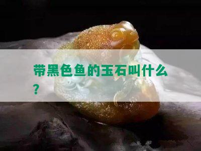 带黑色鱼的玉石叫什么？