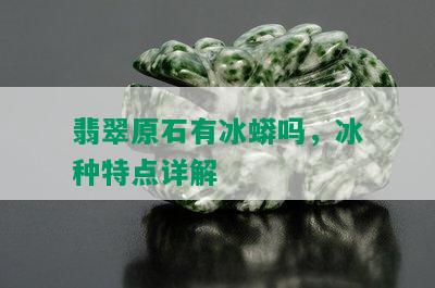 翡翠原石有冰蟒吗，冰种特点详解