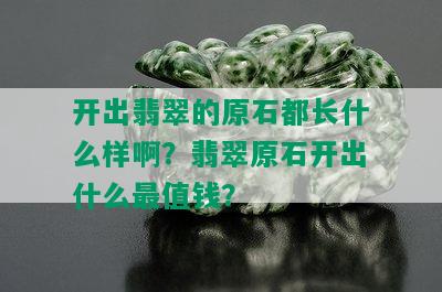 开出翡翠的原石都长什么样啊？翡翠原石开出什么最值钱？