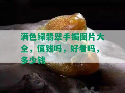 满色绿翡翠手镯图片大全，值钱吗，好看吗，多少钱