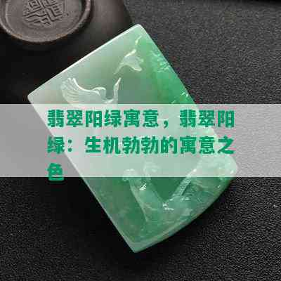 翡翠阳绿寓意，翡翠阳绿：生机勃勃的寓意之色