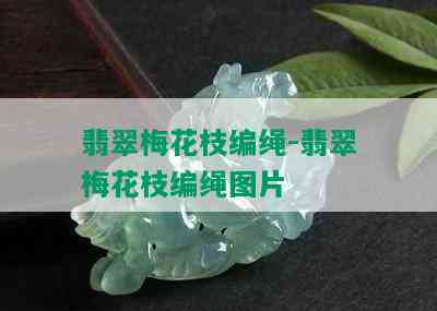 翡翠梅花枝编绳-翡翠梅花枝编绳图片