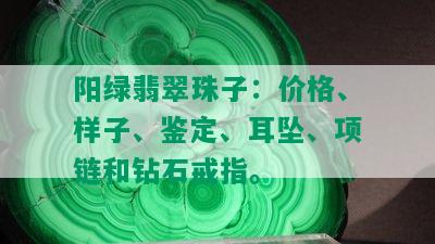 阳绿翡翠珠子：价格、样子、鉴定、耳坠、项链和钻石戒指。