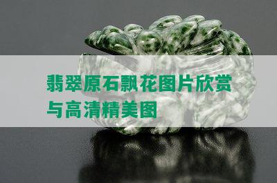 翡翠原石飘花图片欣赏与高清精美图